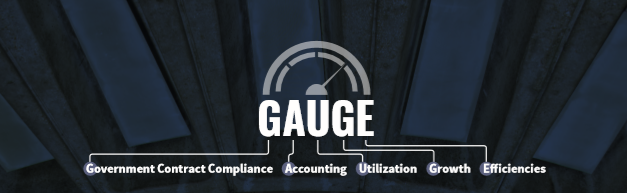 GAUGE Image