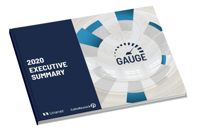 2020 Executive Summary GAUGE