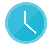 project insight